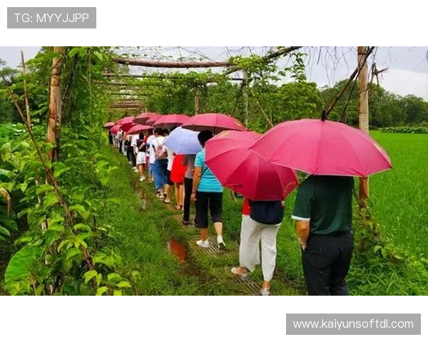 Kaiyun开云真人版会员注册流程详解,轻松开启尊享会员体验 Kaiyun开云真人版会员注册流程详解,轻松开启尊享会员体验